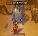 Caged prisoner sml.jpg