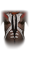 Chestarmor 001 witchdoctor male.png